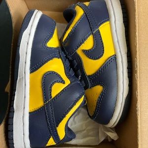 Nike Dunk “Michigan” 6C